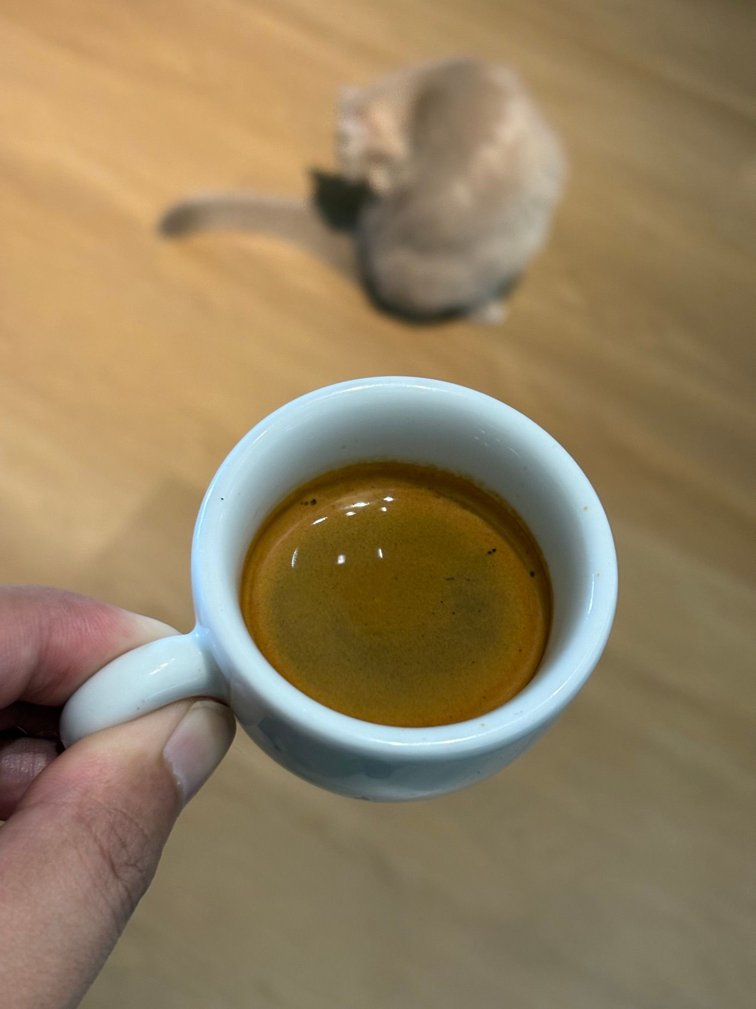 Espresso
